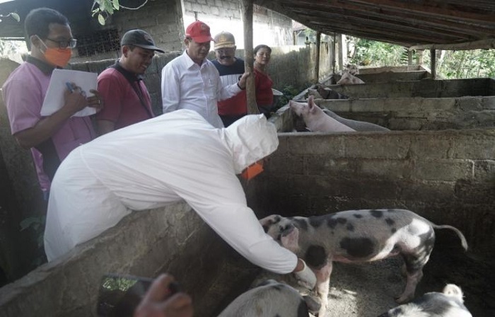 Bupati Gede Dana Terus Pantau Percepatan Vaksinasi PMK di Karangasem