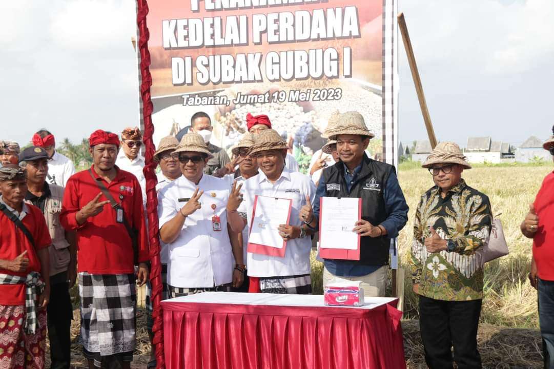 Bupati Komang Sanjaya Bersama Wali Kota Malang Tanam Kedelai dan Teken MOU Penguatan Pangan di Subak Gubug