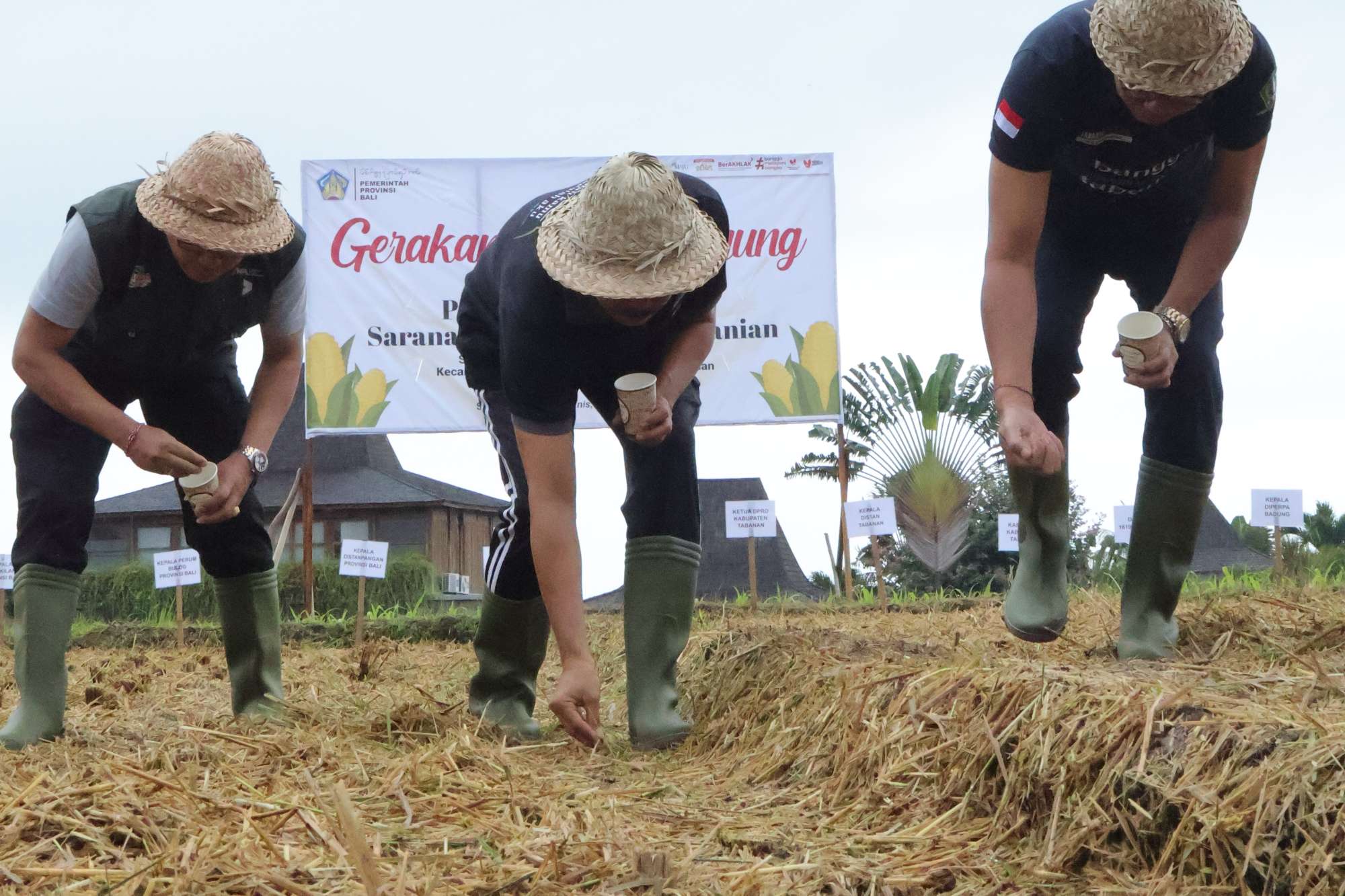 Sokong Tabanan Lumbung Beras, Sekda Bali Minta Petani Jaga agar Alih Fungsi Lahan Tidak Bertambah