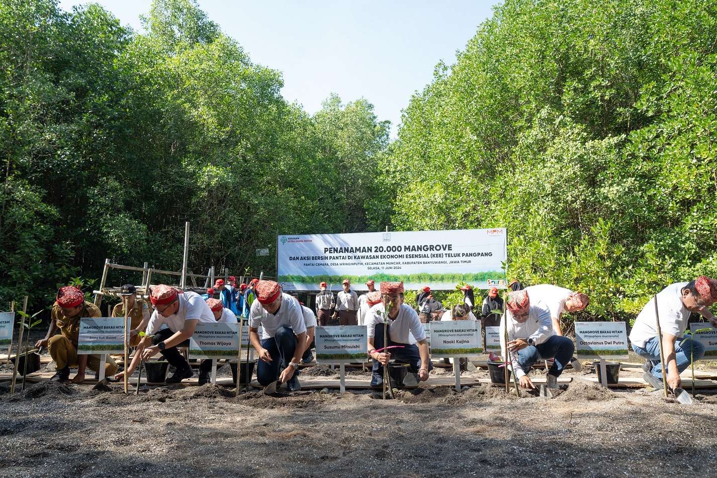 Berkomitmen dalam Mitigasi Perubahan iklim dan Pelestarian Lingkungan, AHM Tanam Puluhan Ribu Mangrove