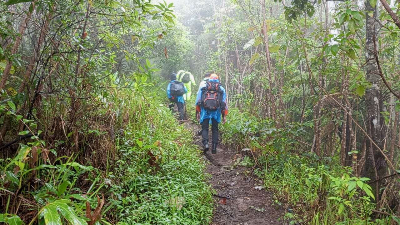 Hujan dan Kabut Tebal, Dua Pendaki Tersesat saat Turun dari Puncak Gunung Agung