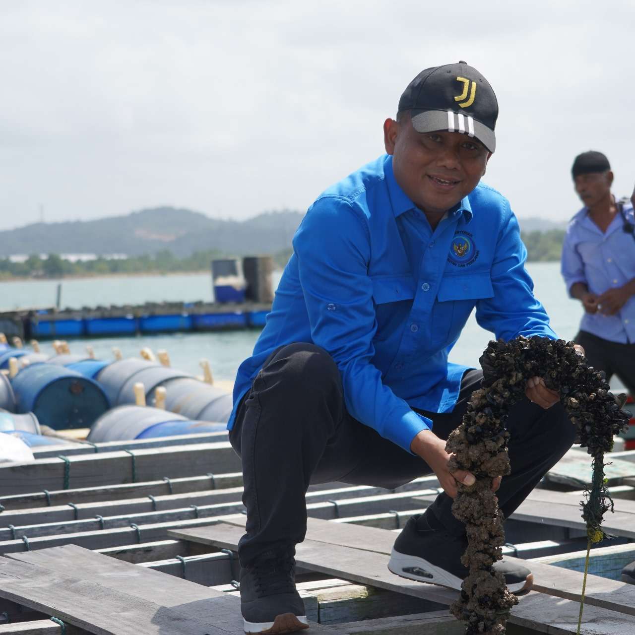 Ekspor Lobster Meningkat: KKP Andalkan Budi Daya di Batam dengan Pakan Alami dari Kekerangan