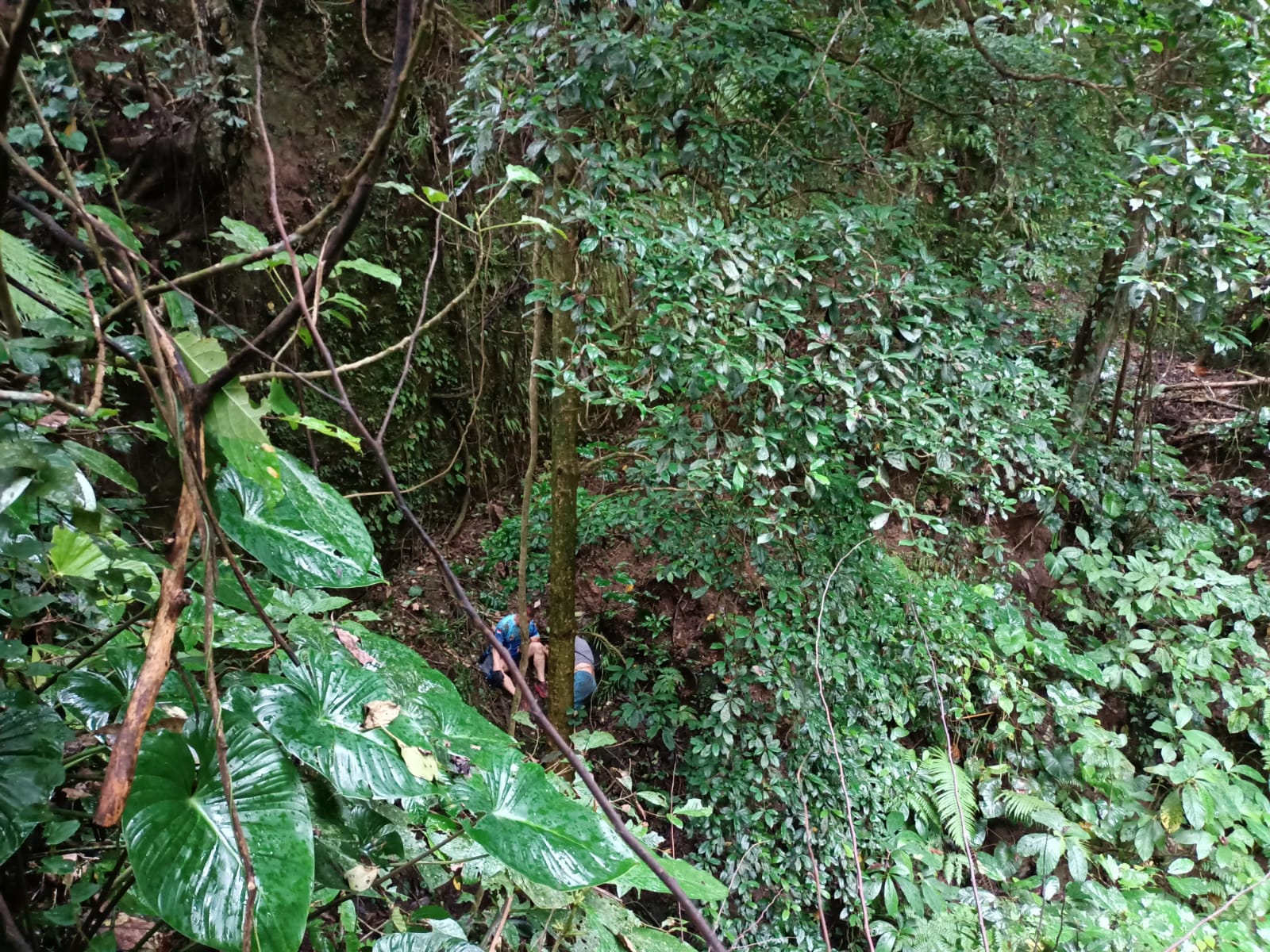 Hiking di Desa Kedewatan Gianyar, Dua Orang Jatuh ke Jurang