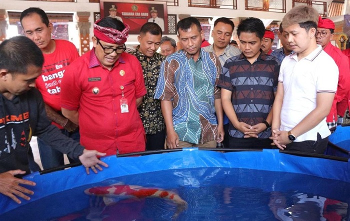 Bupati Sanjaya Harapkan Liga dan Pameran Ikan Koi Tingkatkan Promosi Potensi Tabanan