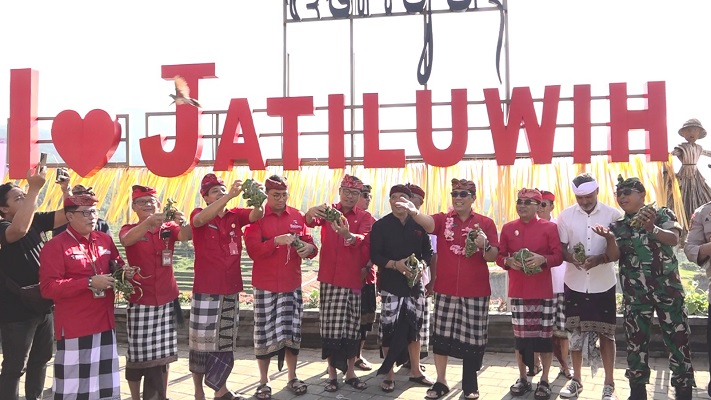 Festival Jatiluwih V 2024, Pertahankan Budaya Kearifan Lokal hingga Kuliner Tradisional