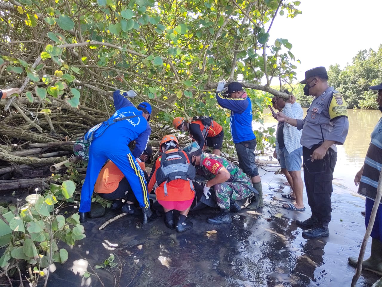 Basarnas Evakuasi Jasad Kakek Tersangkut Akar Pohon Mangrove di Tabanan