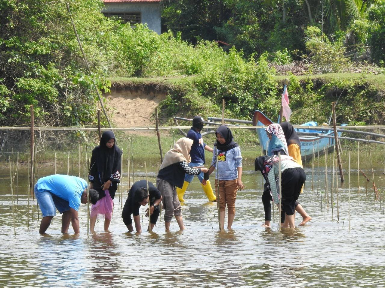 Program KOMPAK KKP Dongkrak Populasi Penyu di Sumatera Barat