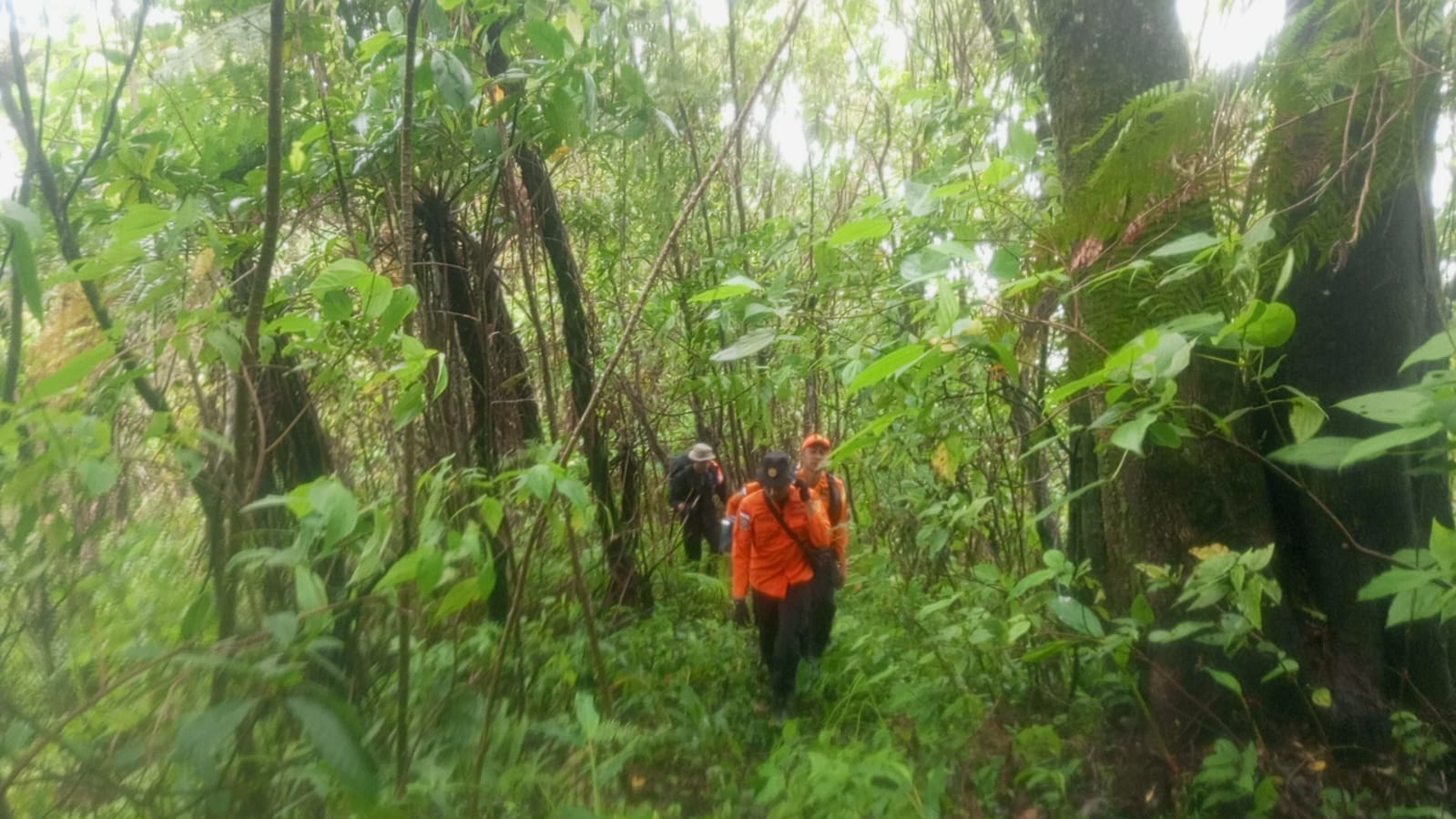 Tim SAR Temukan Dua Pendaki Gunung Agung yang Tersesat di Lokasi Terpisah