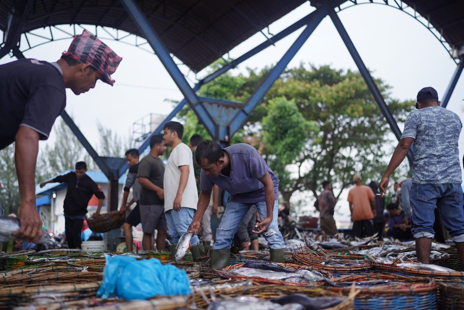 KKP Mendukung Tekad Forikan Aceh Dongkrak Asupan Protein Masyarakat Mencapai Angka 100