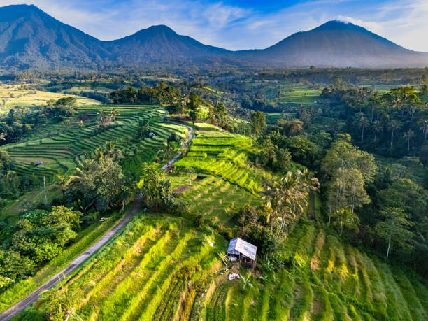 Lagu ‘Jatiluwih nan Permai’ Diciptakan dari Kekaguman Atas Ciptaan Tuhan