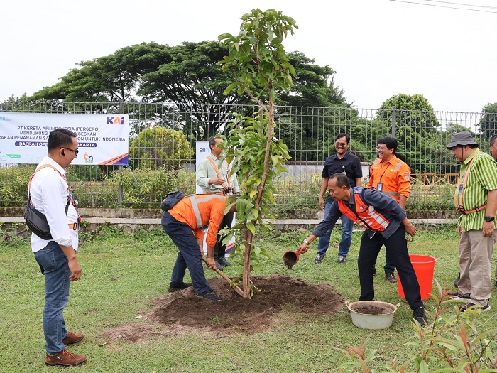 Pohon Mangga Gedong Gincu, Tebubyua hingga Jambu Jamaika Hiasai Daop 6 Yogyakarta