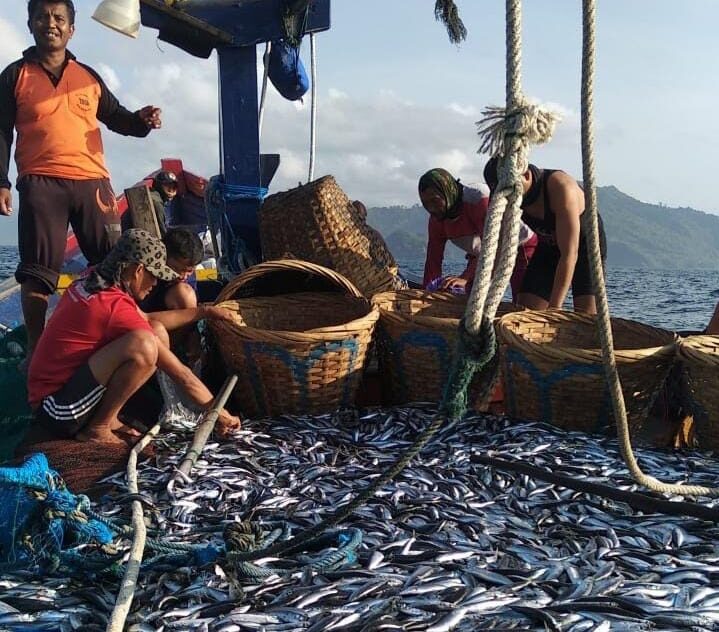 KKP Catat Rekor Tertinggi PNBP Perikanan Tangkap Tembus Rp1,26 Triliun