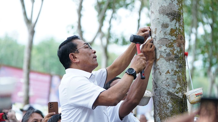 Hadapi Penurunan Harga dan Produktivitas, Moeldoko: Presiden Jokowi Prihatin Kondisi Petani Karet