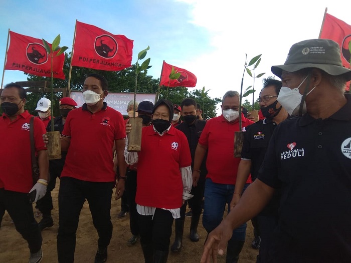 Menteri Risma: Kita Berusaha Menyelamatkan Bumi Melalui Penanaman Mangrove di Bali