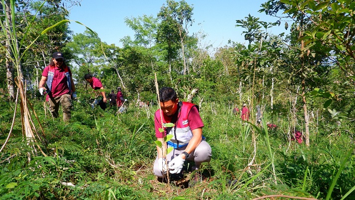Pertamina Dukung Pengembangan Agroforestri Hutan Desa Maha Wana Basuki di Karangasem