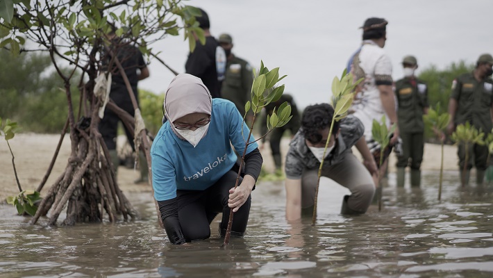 Program PahlawanPohon, Traveloka Ajak Konsumen Aktif Jaga keberlanjutan Ekosistem Mangrove