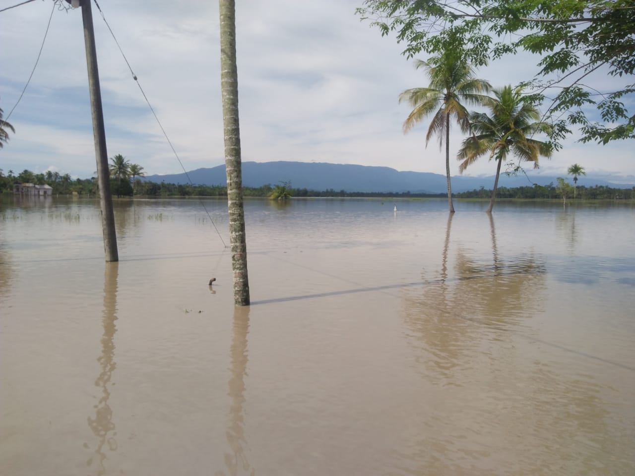 Banjir Setinggi 60 Sentimeter Rendam Kabupaten Aceh Utara