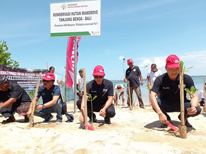 Jaga Ekosistem Pantai dan Pesisir Bali, Yayasan AHM Tanam 8000 Pohon Mangrove