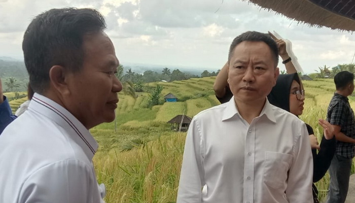 Belajar Subak, Delegasi WWF China Kunjungi Jatiluwih