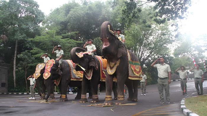 Merayakan Kemerdekaan Bersama Satwa Bali Safari and Marine Park