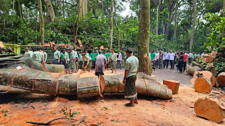 Insiden di Monkey Forest Ubud: Pengelola Sampaikan Rasa Duka, Lakukan Penanganan Terbaik bagi Para Korban