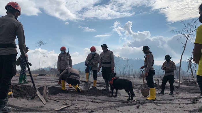 Posko Layani Kesehatan Hewan Peliharaan Terdampak Erupsi Gunung Semeru