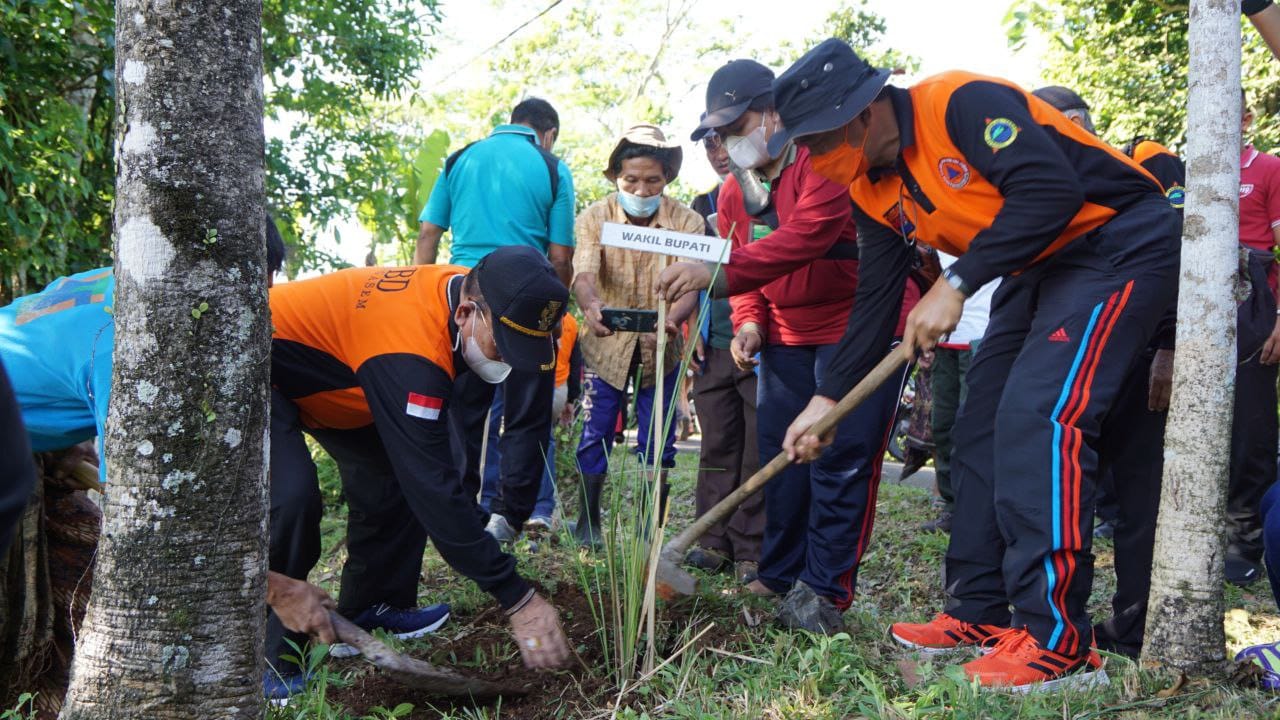 Wabup Artha Dipa Siapkan Ribuan Bibit Pohon Cegah Tanah Longsor di Karangasem