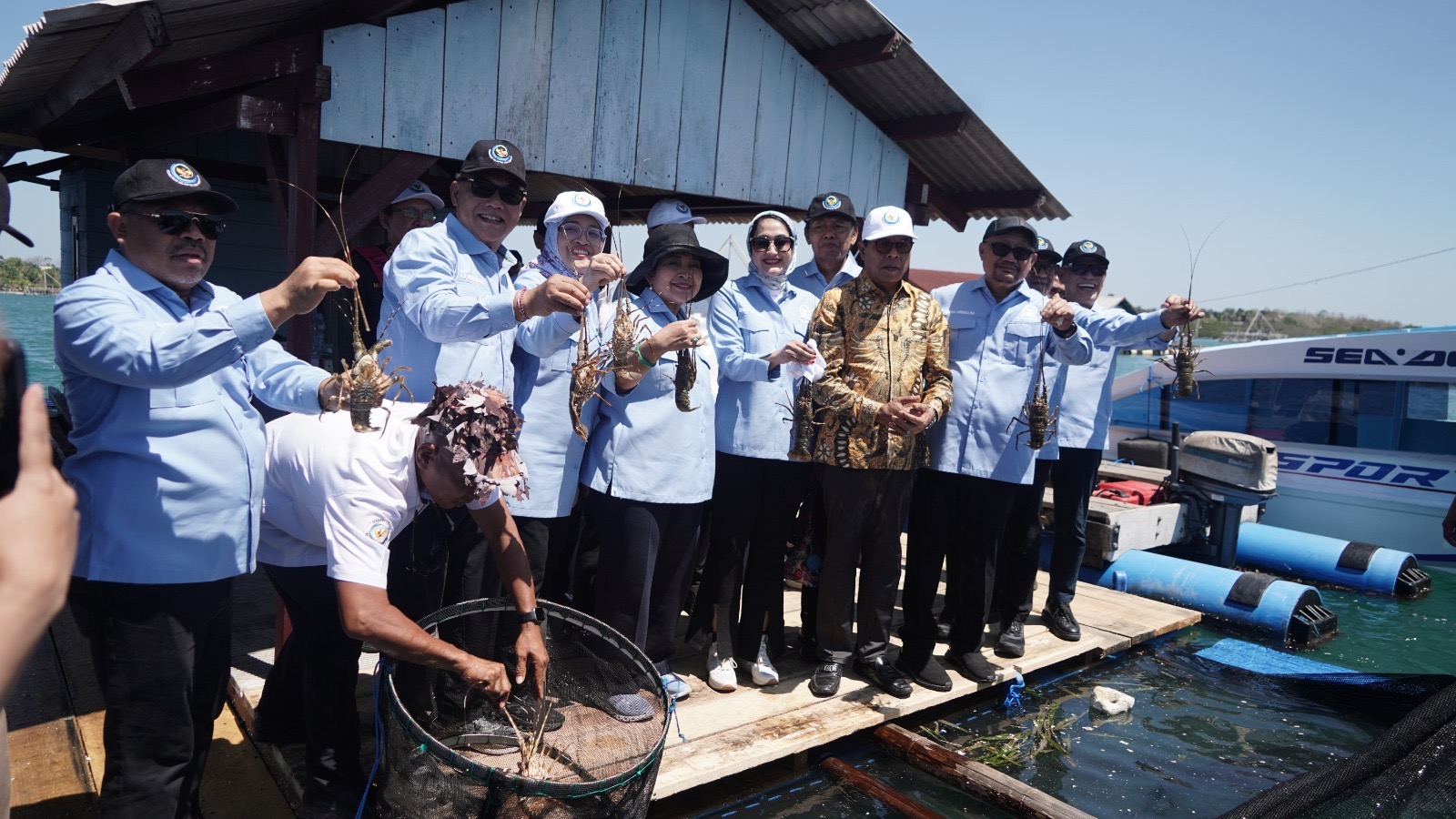 Lombok Timur Genjot Sentra Budidaya Lobster Nasional, Komisi IV DPR RI Dorong Indonesia Jadi Produsen Utama Global