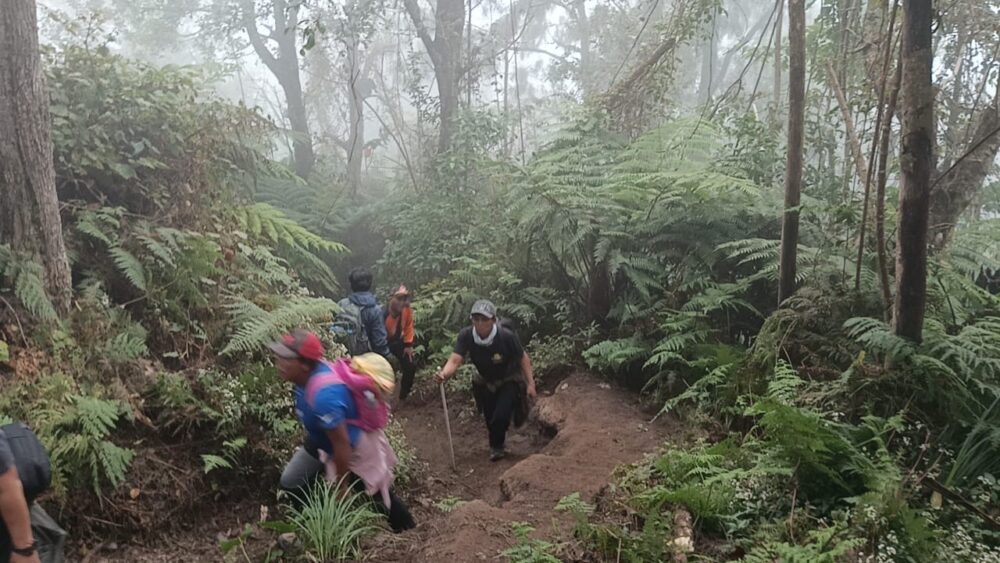Diperkirakan Tersesat di Ketinggian 2.800 MDPL, Tim SAR Sisir Lokasi Dua Pendaki Gunung Agung