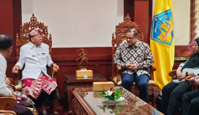 Gandeng Kemlu RI, Pemprov Bali Bidik Investor Eropa Perkuat Layanan Kesehatan Daerah