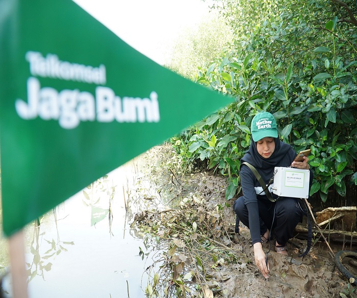 Program Carbon Offset, Telkomsel Lanjutkan Reboisasi Kawasan Konservasi Hutan Mangrove Indonesia