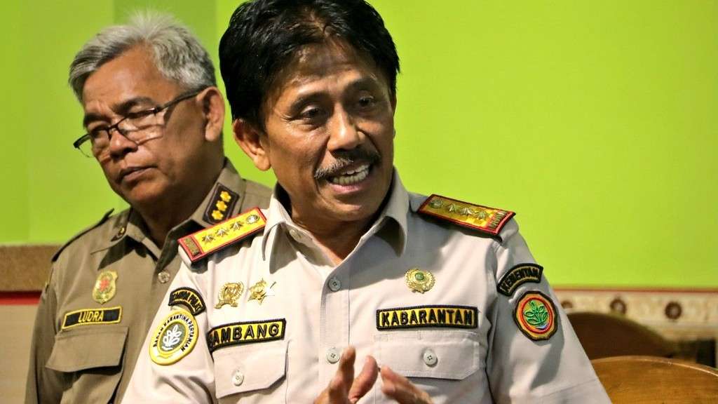 Kabarantan Bambang: Bali Aman dari Penyakit LSD pada Sapi