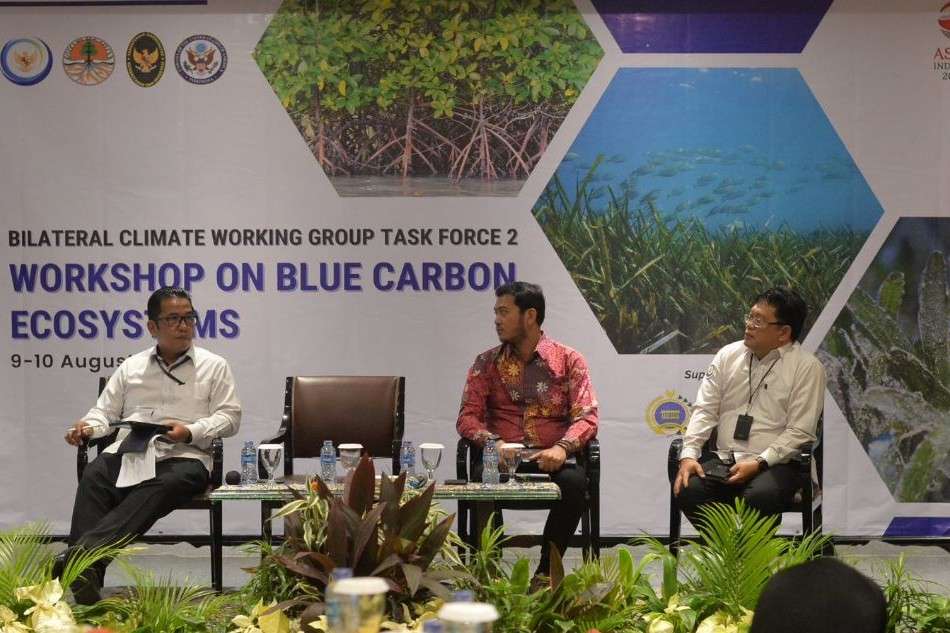 Mitigasi Pemanasan Global, Indonesia dan Amerika Sepakat dalam Pengelolaan Karbon Biru dengan Tata Kelola Mangrove dan Lamun