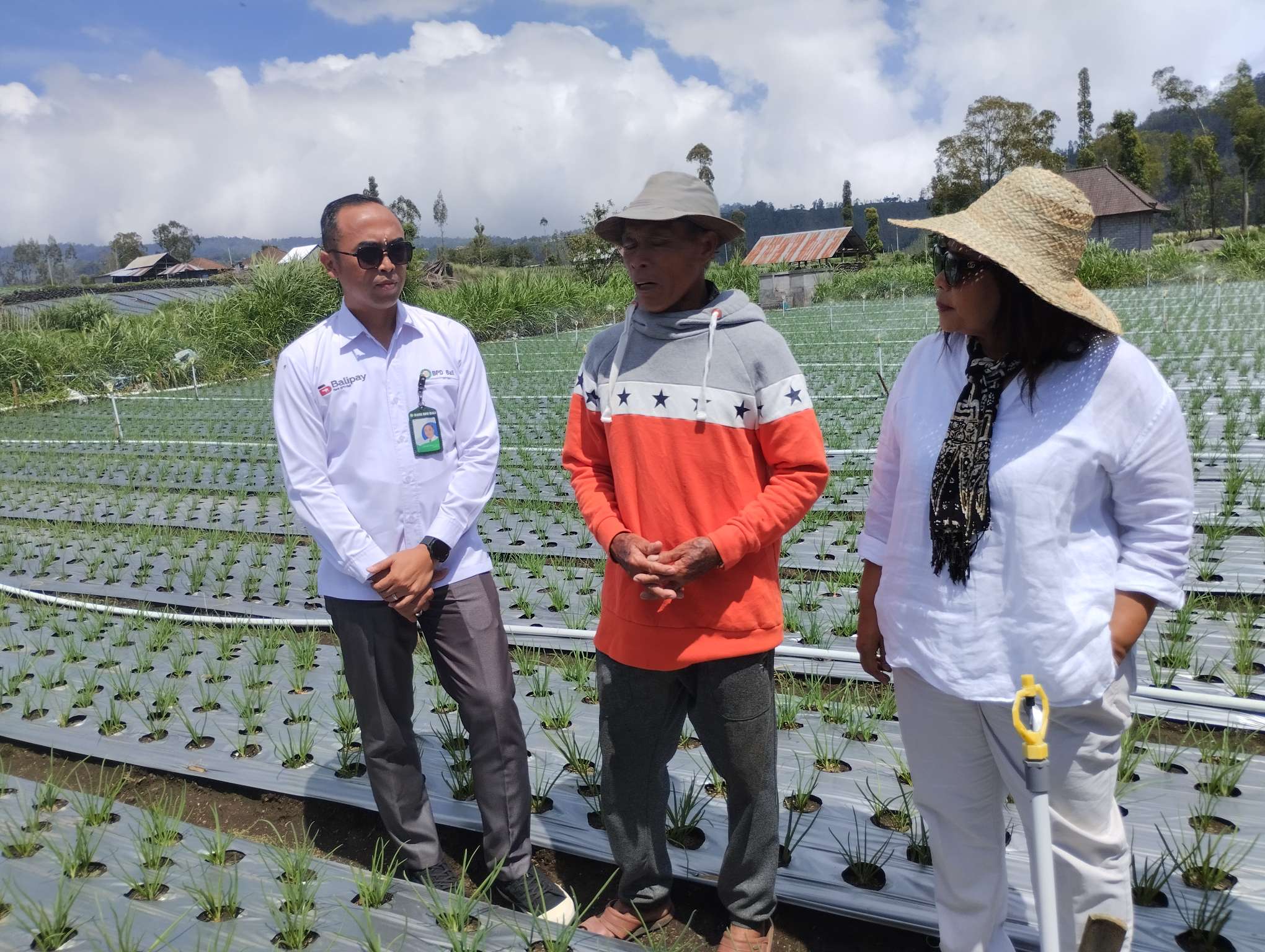 Kawal Program Pemprov Bali, OJK Terus Lakukan Pendampingan Literasi Keuangan bagi Petani