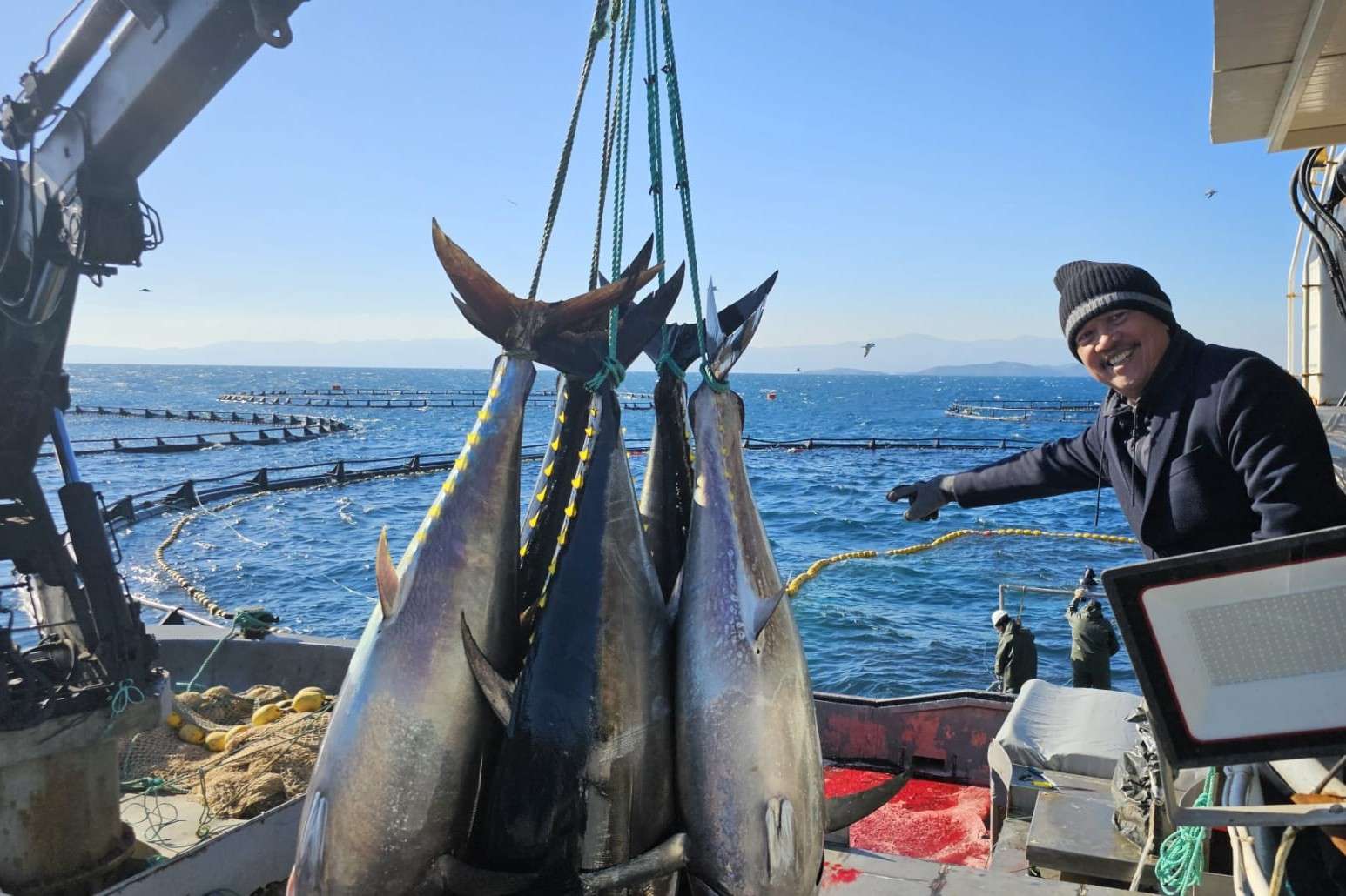 Budidaya Tuna dari Turki Bakal Diadopsi untuk KKP Dongkrak Hasil Perikanan