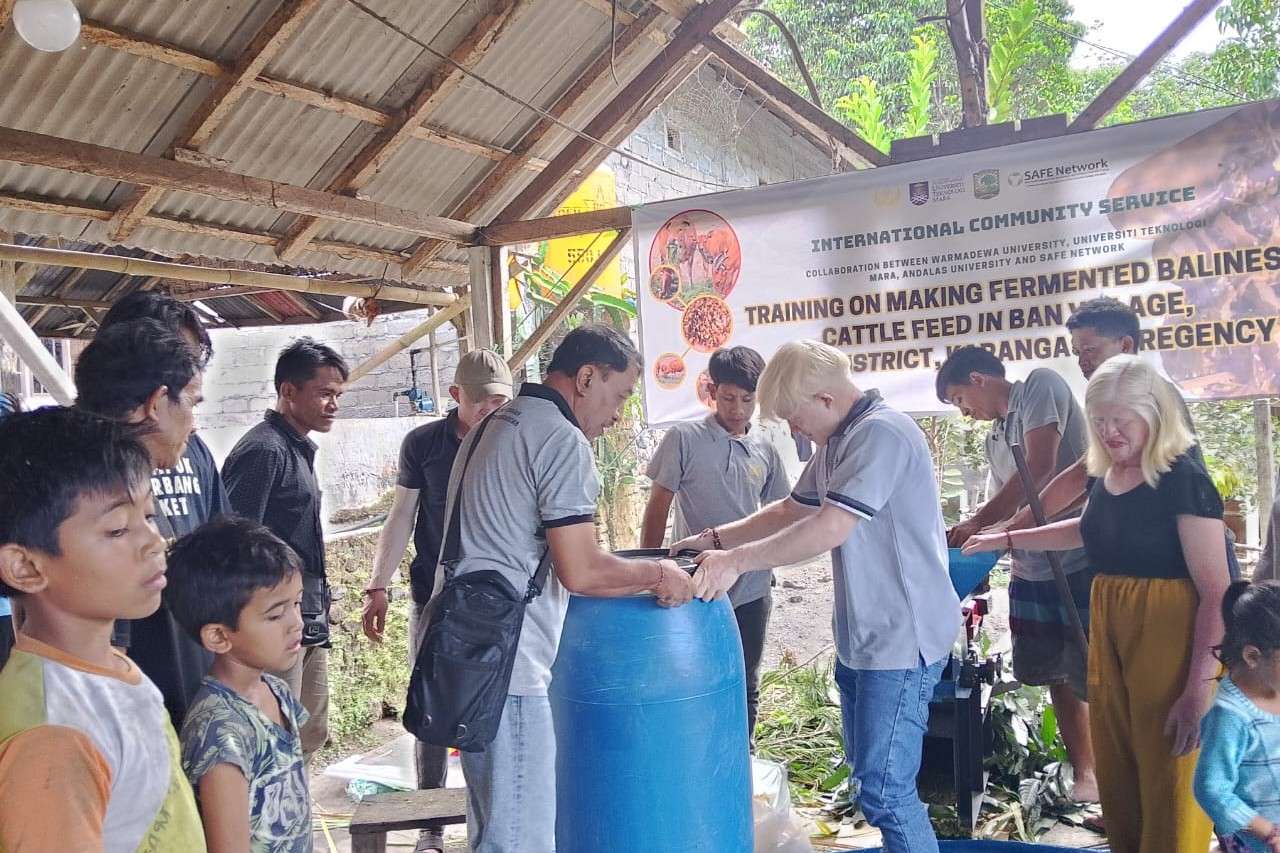 Apa Saja Manfaat Limbah Pertanian bagi Peternak Sapi saat Musim Kering, Ini Penjelasan Akademisi Unwar