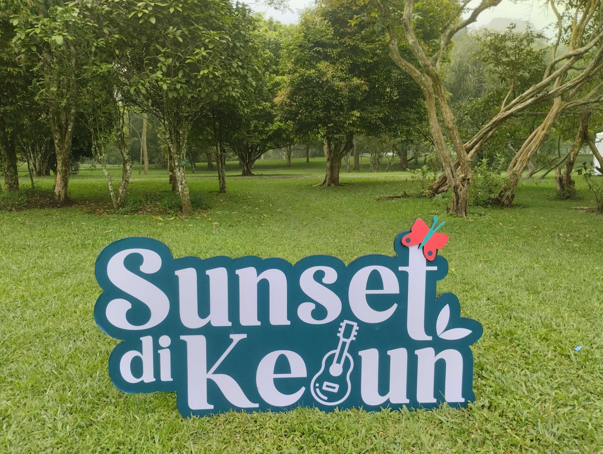 Kebun Raya Bali Terus Ajak Anak Muda Cintai Alam, Revitalisasi Taman Begonia Miliki 200 Koleksi
