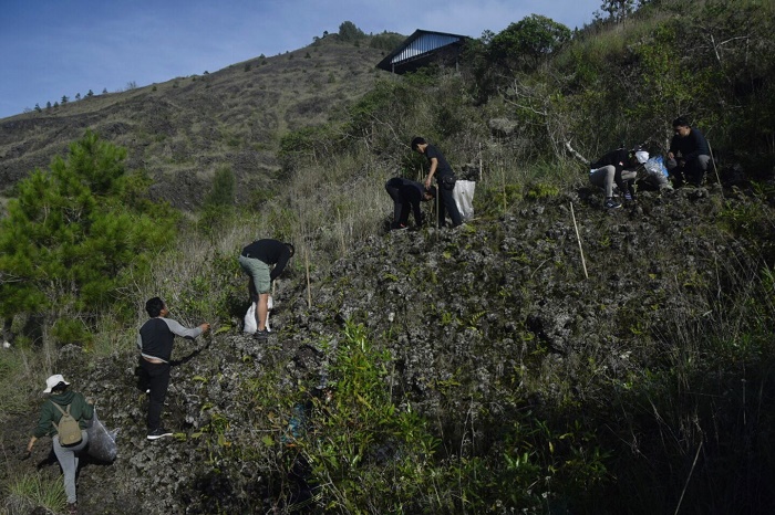 Forum Alumni Green Circle Gitakita Tanam Ratusan Pohon Seputar Gunung Batur
