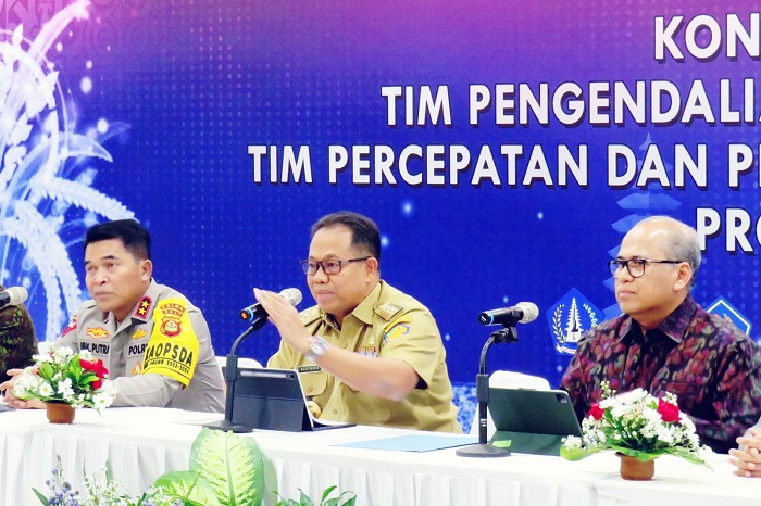 Bali Borong Tiga Penghargaan TP2DD, Perkuat Komitmen Digitalisasi Sktor Belanja Daerah