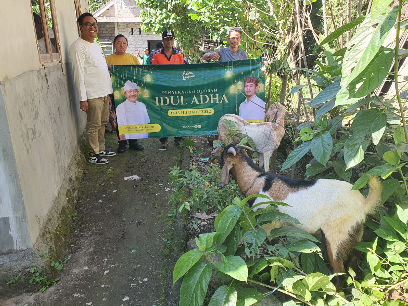 Idul Adha, Demer Bagikan Hewan Qurban di Karangasem