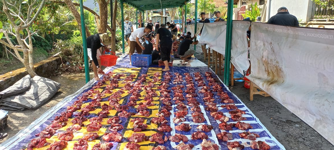 Pecalang Ikut Jaga Pembagian Daging Kurban Warga Muslim Green Kori