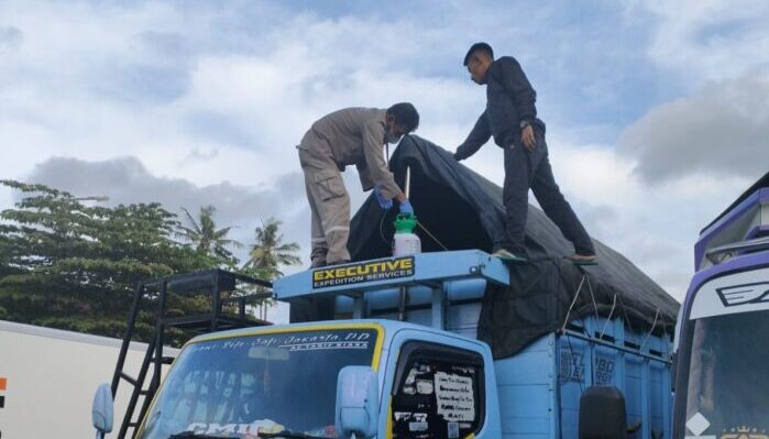 Tanpa Dilengkapi Dokumen, Babi Asal Jembrana Ditolak Masuk Ketapang