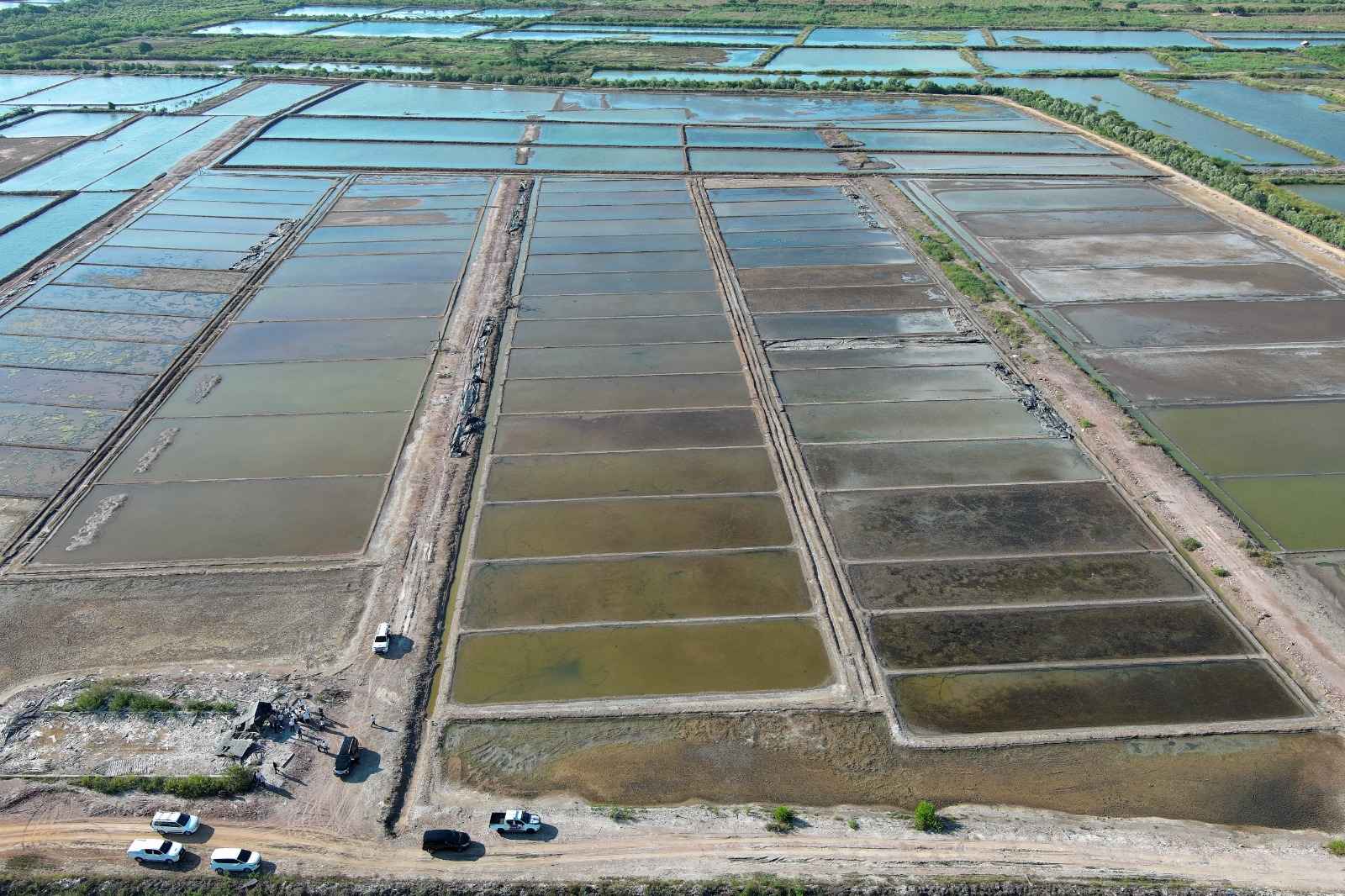 Potensi Ekonomi Garam NTB: Peluang Investasi dan Kontribusi terhadap Swasembada Nasional