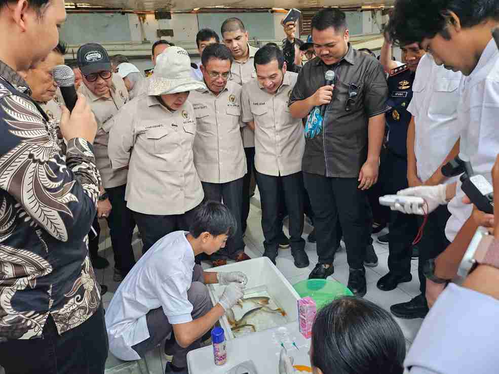 Ekspor Arwana Super Red Kalbar Melonjak, KKP Dorong Penguatan Devisa Negara