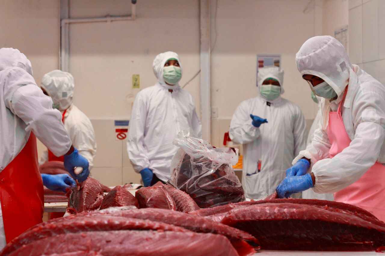 Jamin Kualitas Ekspor, KKP Resmi Jadi Certifying Entity Udang ke Amerika Serikat