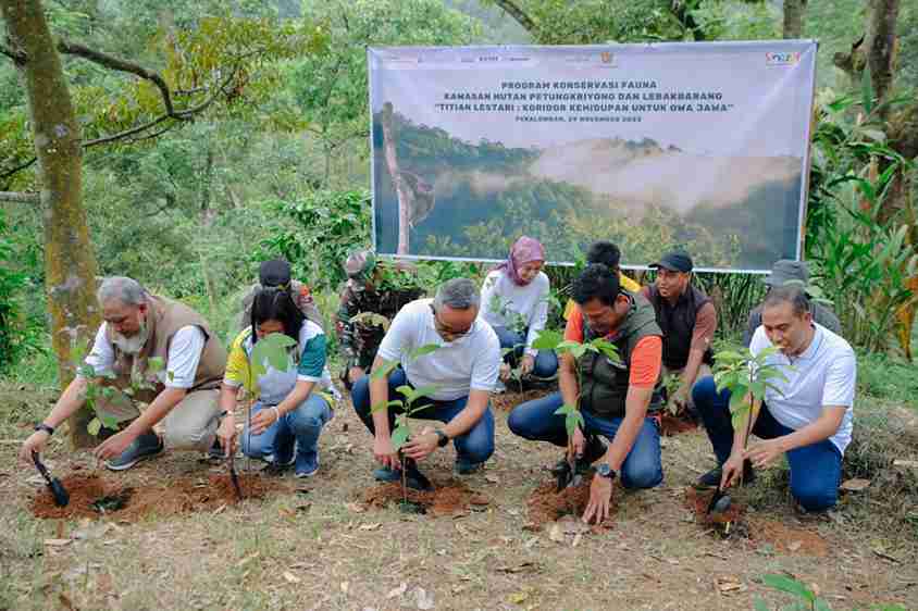 Yayasan AHM Pimpin Gerakan Konservasi Owa Jawa Bersama Warga Pekalongan