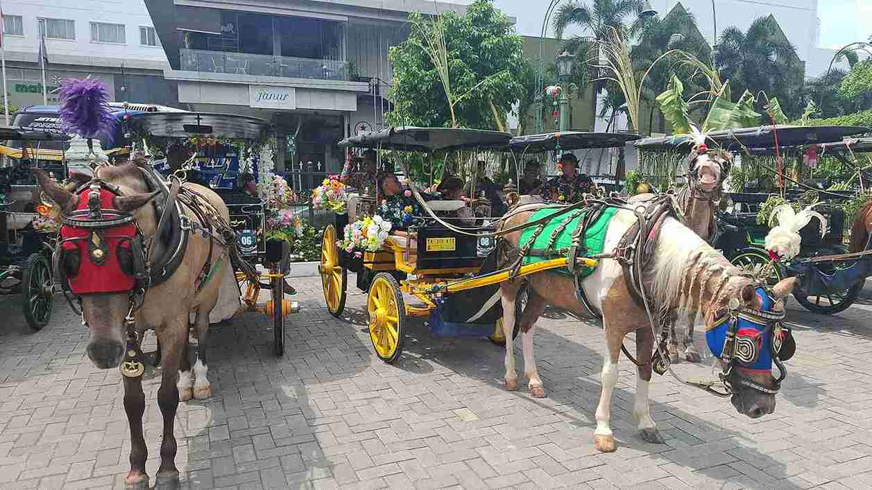 Selamatkan Ikon Wisata! Kontes Kuda, Hasto: Andong Tak Boleh Punah!
