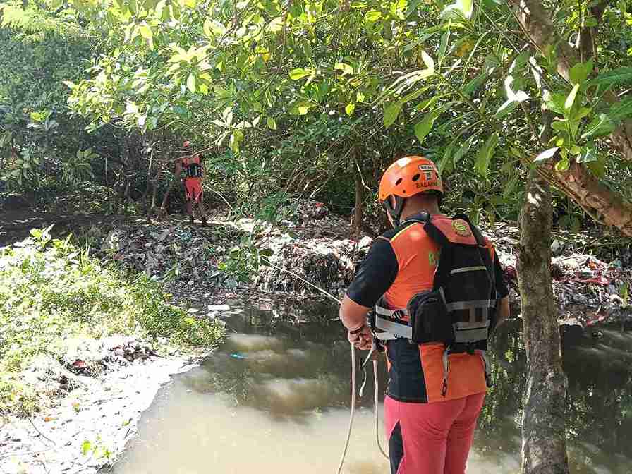 Kakek 82 Tahun Hilang di Kawasan Hutan Bakau Denpasar