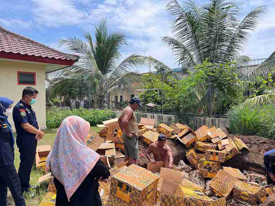 KKP Bongkar Praktik Ilegal, 796 Kg Kulit Hiu dan Pari Dikubur di Banyuwangi