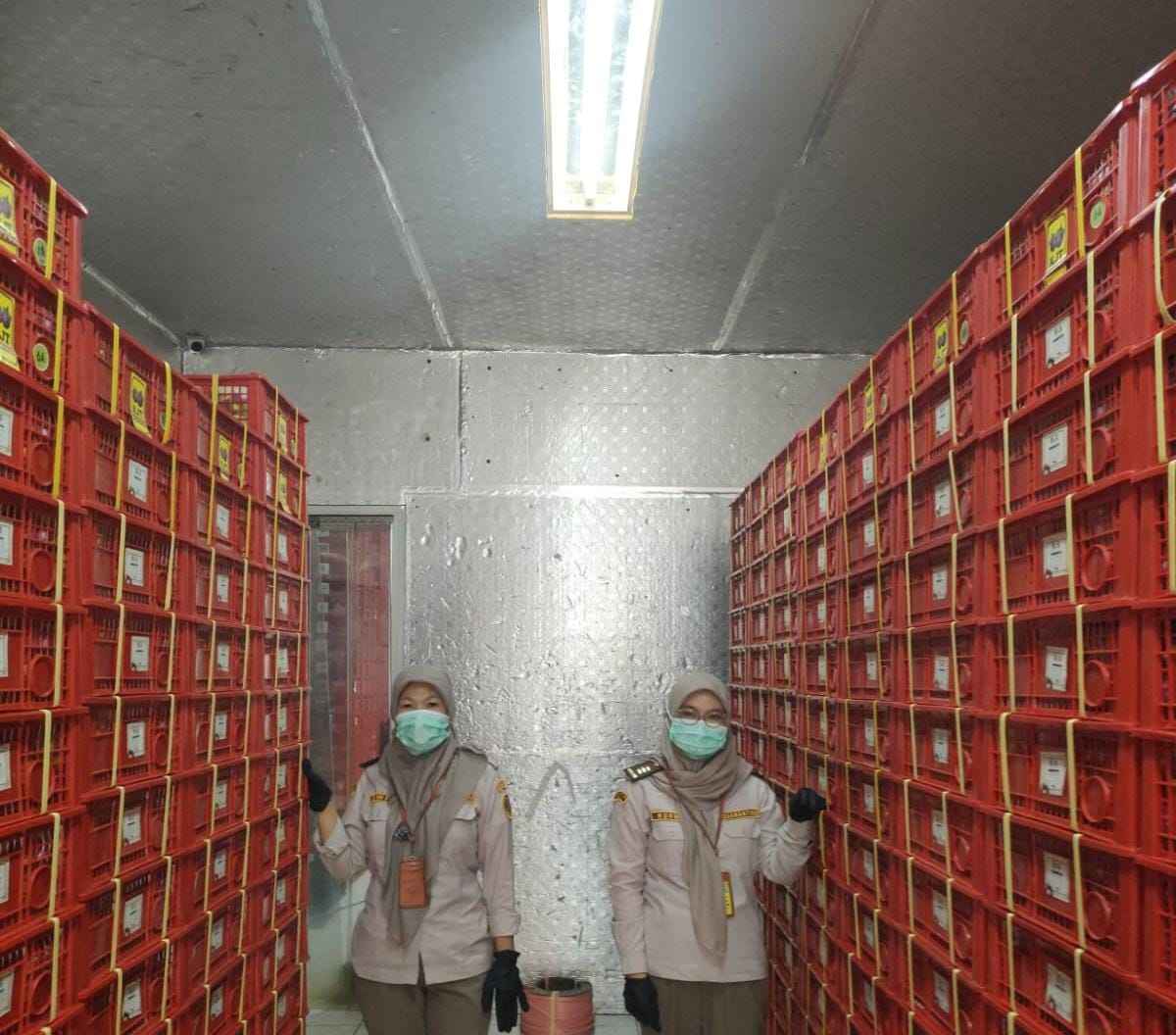 Ekspor Manggis Bali Melejit Jelang Imlek, Tembus Pasar Tiongkok